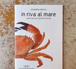 cover-un-mare-di-cultura